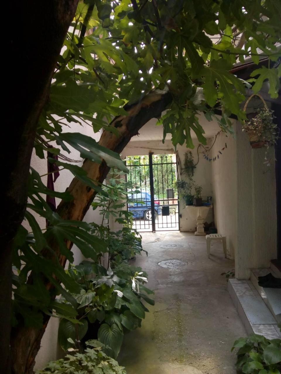 Gardos Daire Belgrad Dış mekan fotoğraf